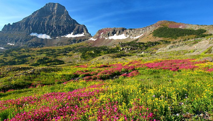 Logan Pass