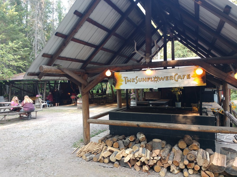 Sunflower Cafe