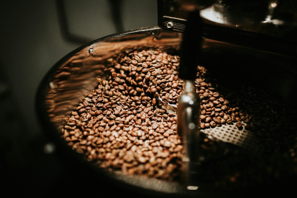 Wild Coffee Company